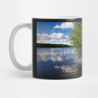 Beautiful Rice Lake Mug